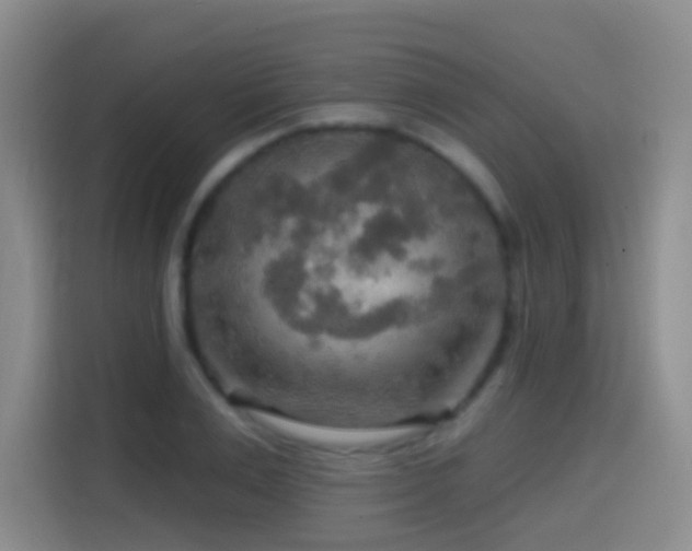 X0000114610983200910201149