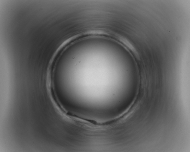 X0000114610984200910201149