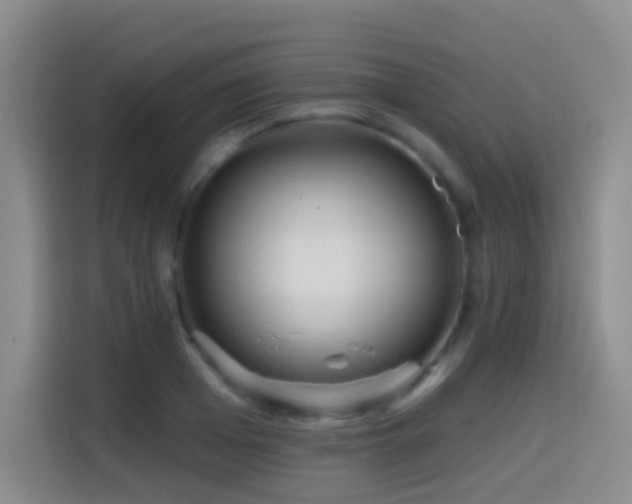 X0000114610985200910201149