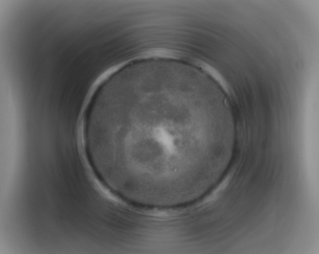 X0000114610987200910201149