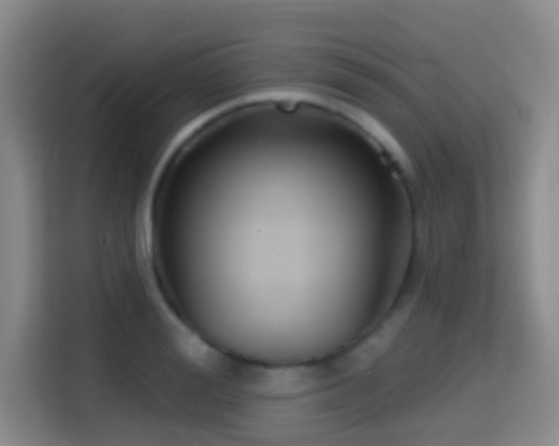 X0000114610988200910201149