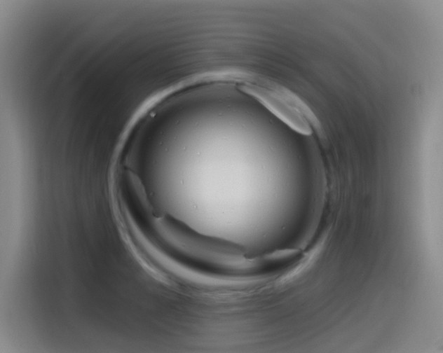 X0000114610989200910201149