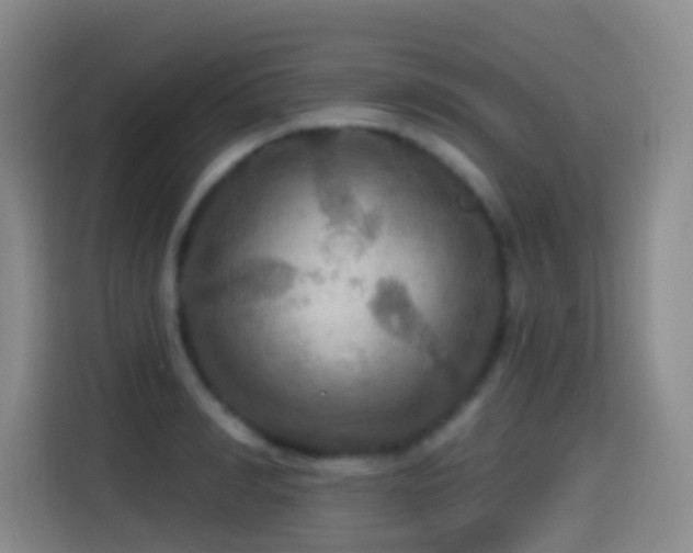 X0000114610990200910201149