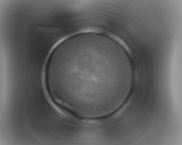 X0000114610991200910201149