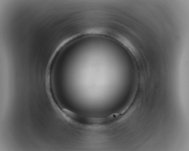 X0000114610992200910201149