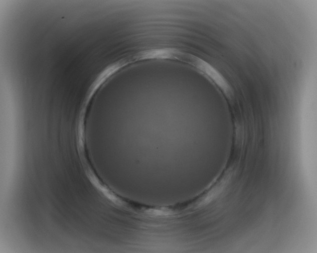 X0000114610994200910201149