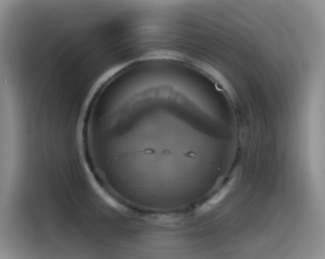 X0000114610995200910201149