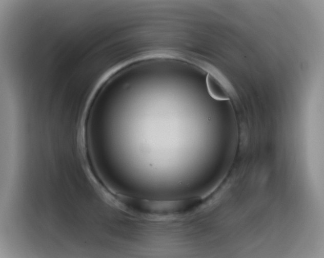 X0000114610996200910201149