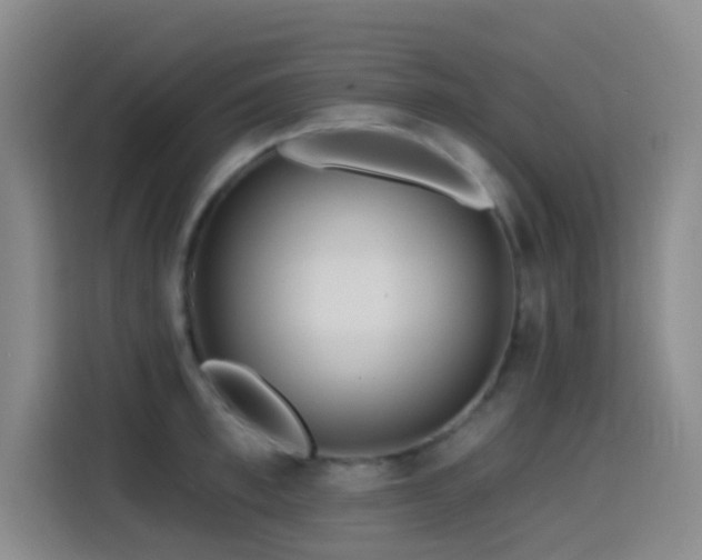 X0000114610997200910201149