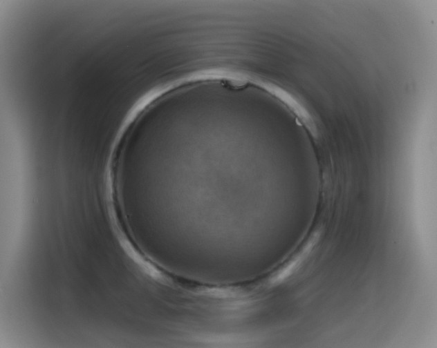 X0000114610998200910201149