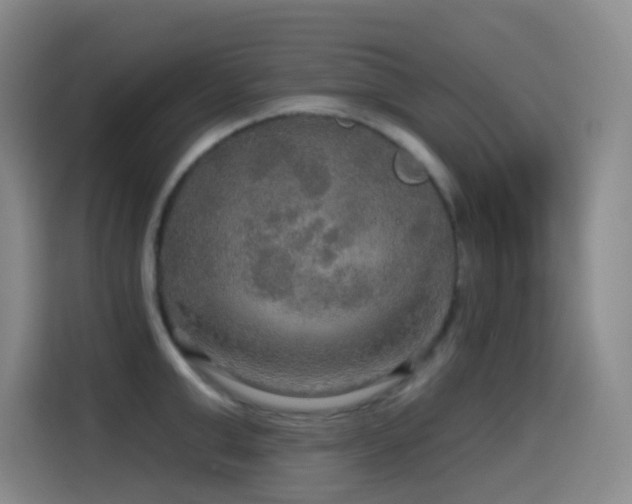 X0000114610999200910201149