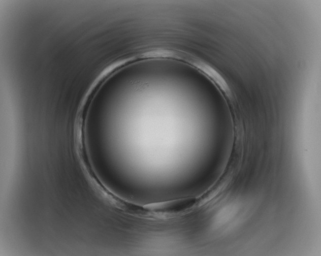 X0000114611000200910201149