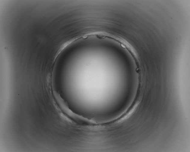 X0000114611001200910201149