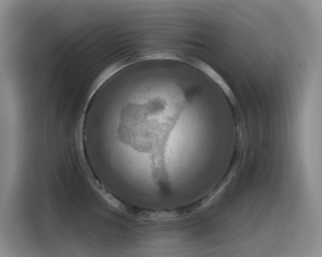 X0000114611002200910201149