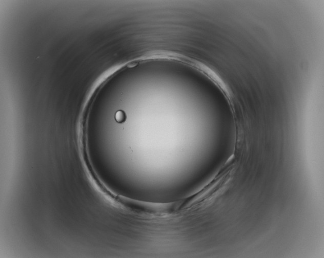 X0000114611003200910201149