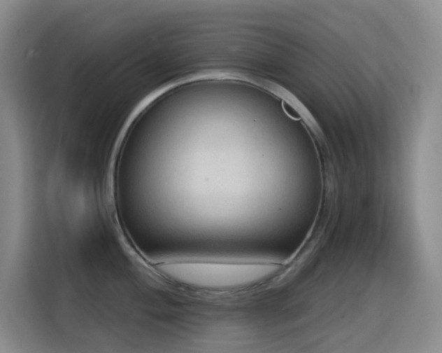 X0000114611004200910201149