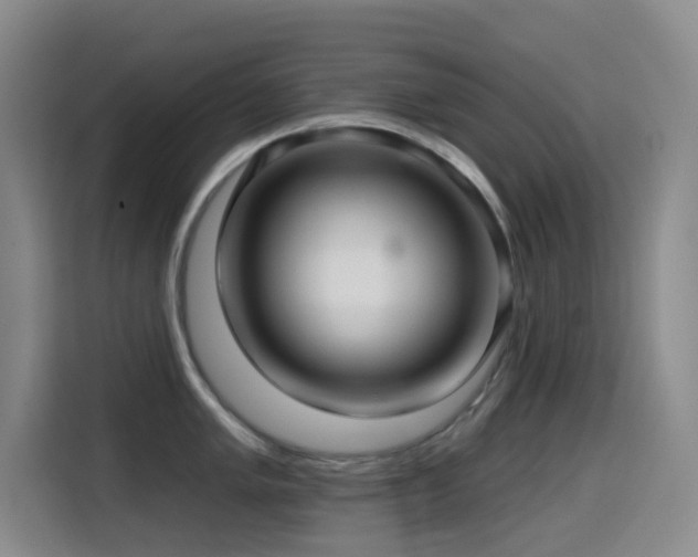 X0000114611005200910201149