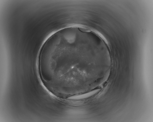 X0000114611007200910201149