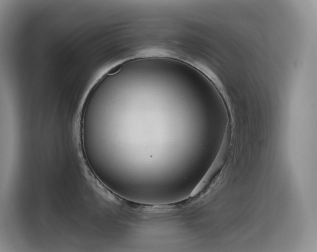 X0000114611008200910201149