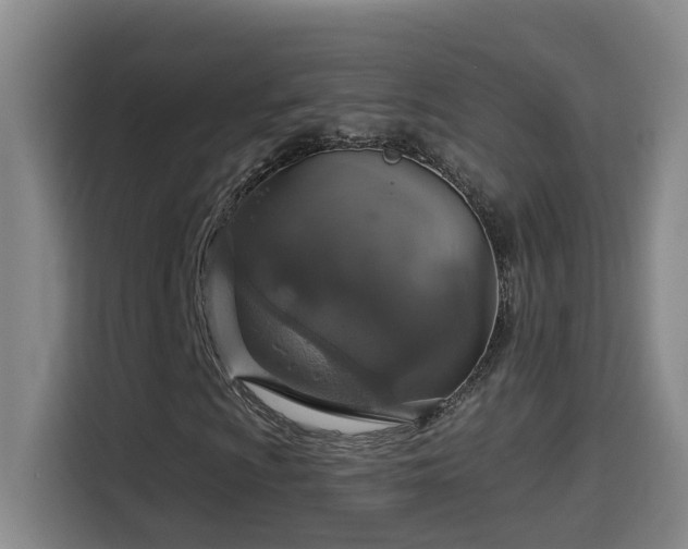 X0000114611009200910201148