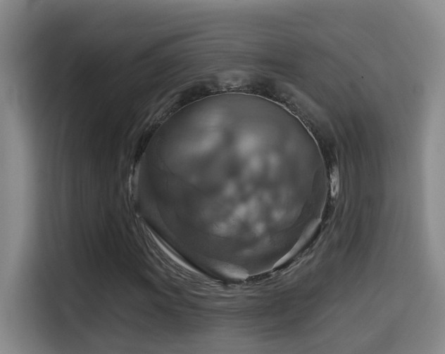 X0000114611011200910201148