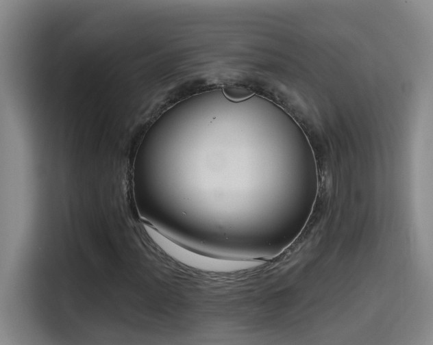 X0000114611012200910201148