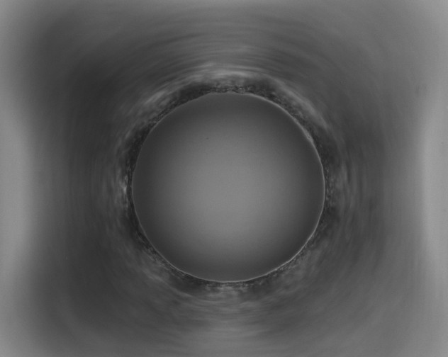 X0000114611013200910201148