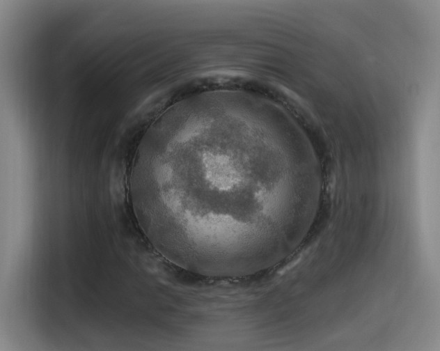 X0000114611014200910201148