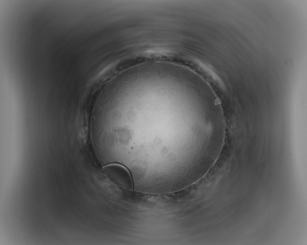 X0000114611015200910201148