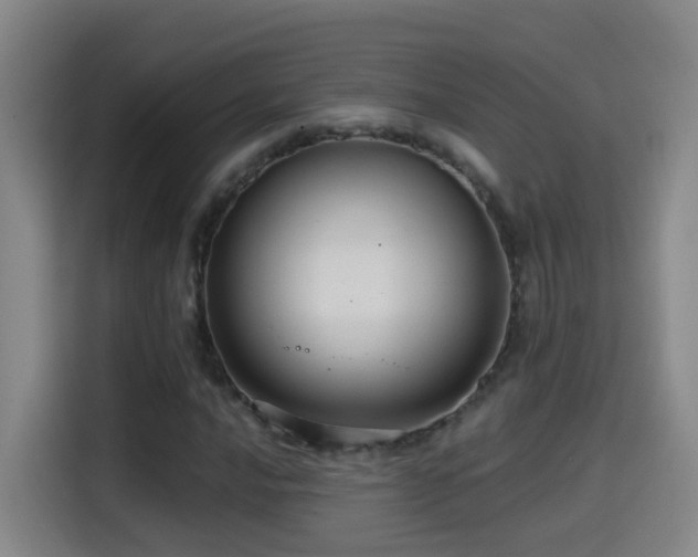 X0000114611016200910201148