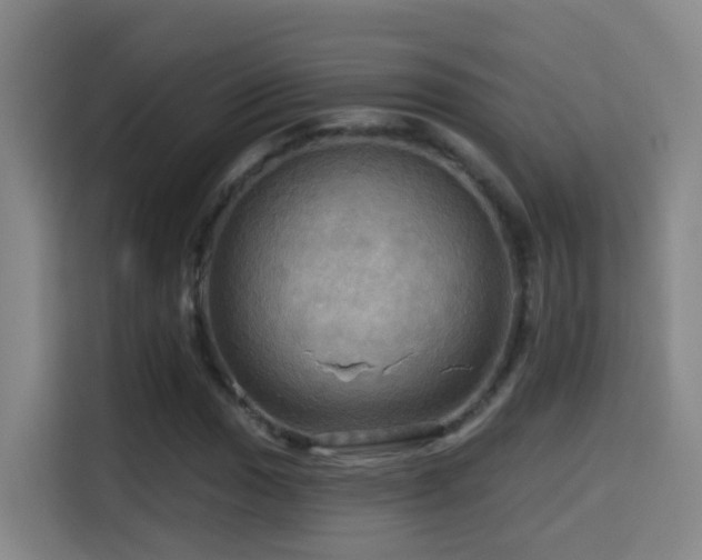 X0000114611017200910201148