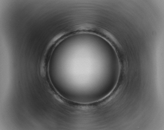 X0000114611018200910201148