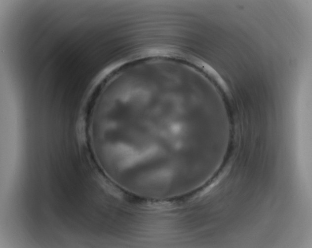 X0000114611019200910201148