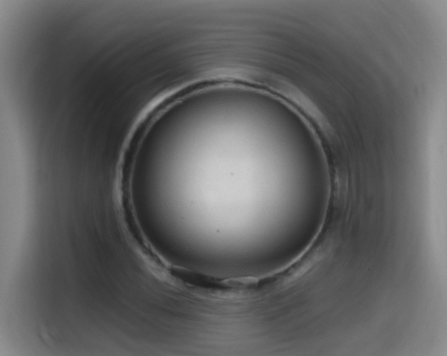 X0000114611020200910201148