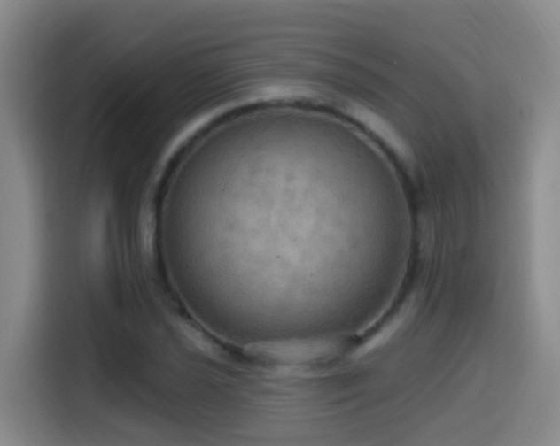 X0000114611021200910201148