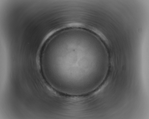 X0000114611022200910201148