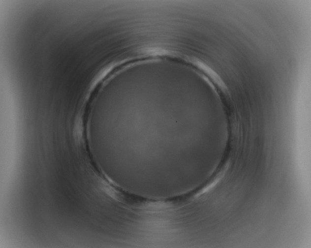 X0000114611023200910201148