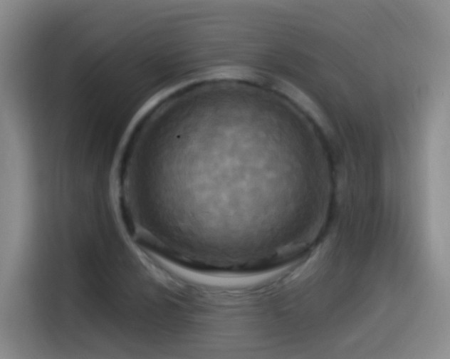 X0000114611024200910201148