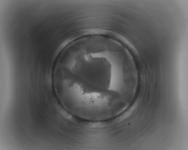 X0000114611025200910201148