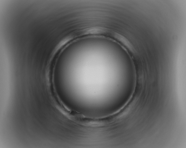 X0000114611026200910201148