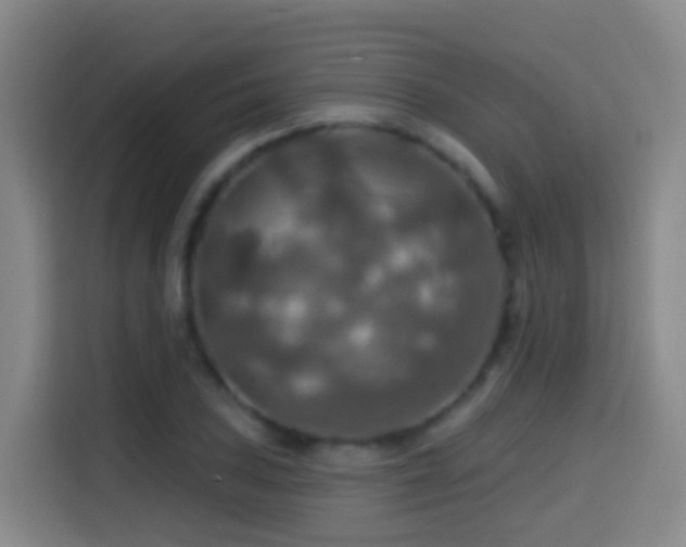 X0000114611027200910201148