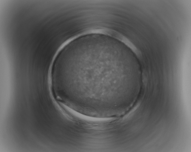 X0000114611028200910201148