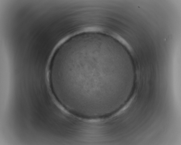 X0000114611029200910201148