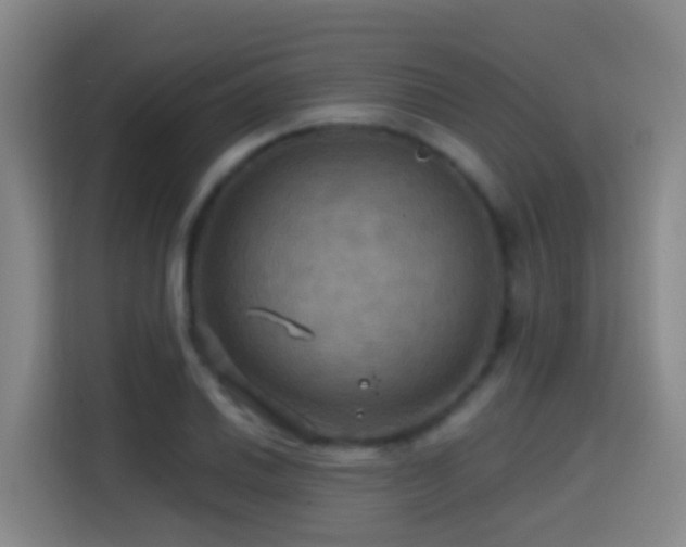 X0000114611030200910201148