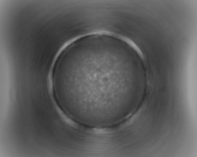 X0000114611032200910201148