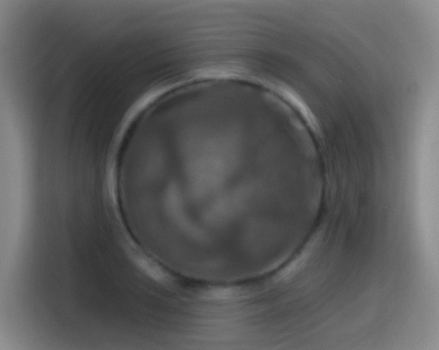 X0000114611035200910201148