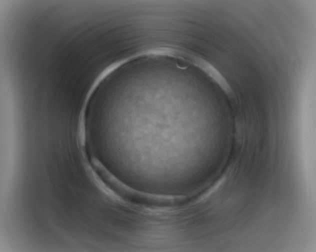 X0000114611036200910201148