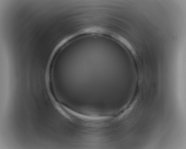 X0000114611037200910201148