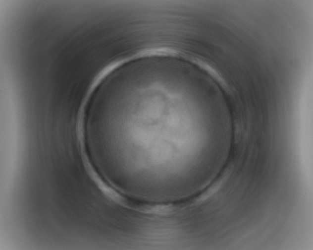 X0000114611038200910201148