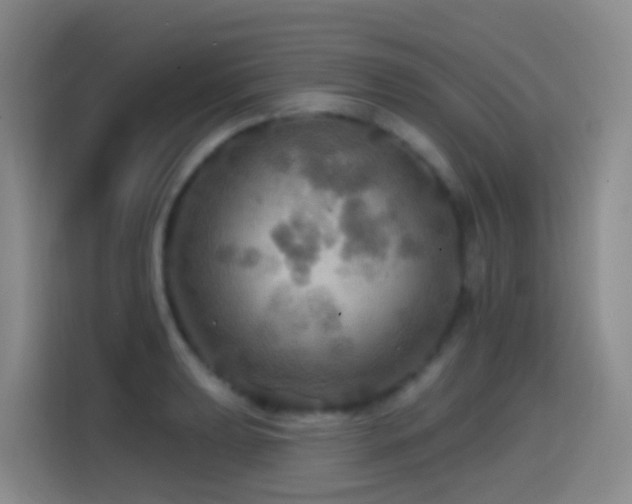 X0000114611039200910201148